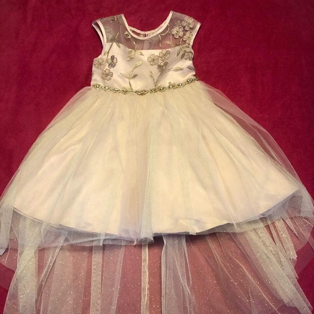 Girls Embroidered dress with Tulle